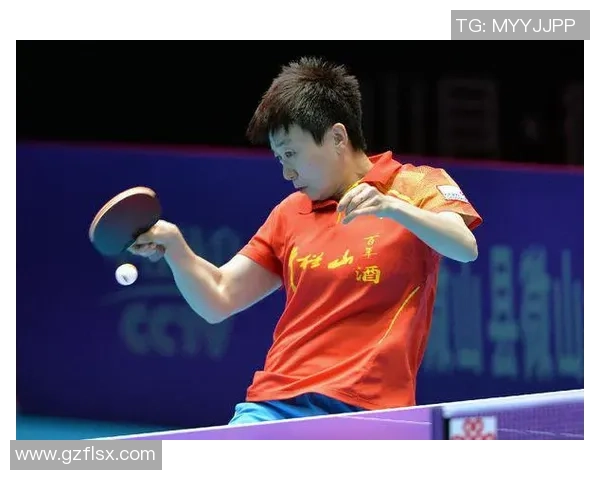 深入分析北京乒乓球队的进攻战术与技术特点